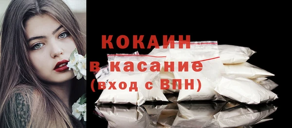 ПСИЛОЦИБИНОВЫЕ ГРИБЫ Гусь-Хрустальный