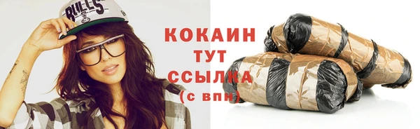 ПСИЛОЦИБИНОВЫЕ ГРИБЫ Гусь-Хрустальный