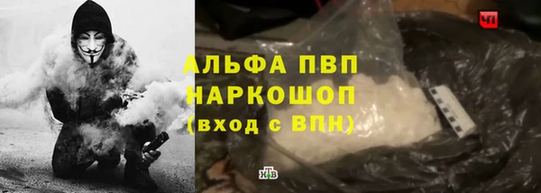 ПСИЛОЦИБИНОВЫЕ ГРИБЫ Гусь-Хрустальный