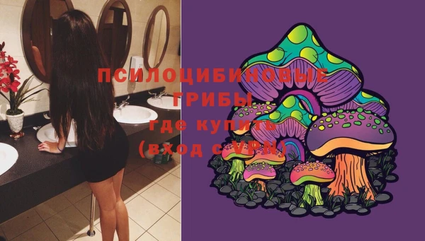 а пвп мука Гусиноозёрск