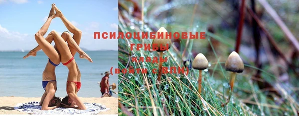 а пвп мука Гусиноозёрск
