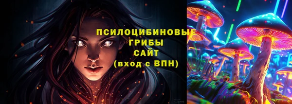ПСИЛОЦИБИНОВЫЕ ГРИБЫ Гусь-Хрустальный