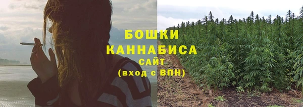 а пвп мука Гусиноозёрск
