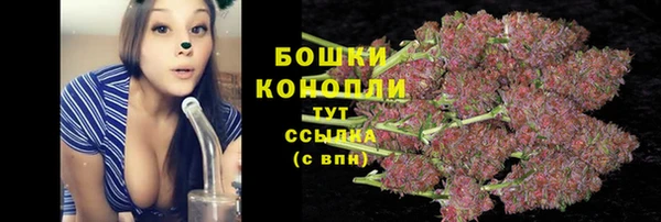 PSILOCYBIN Красноперекопск